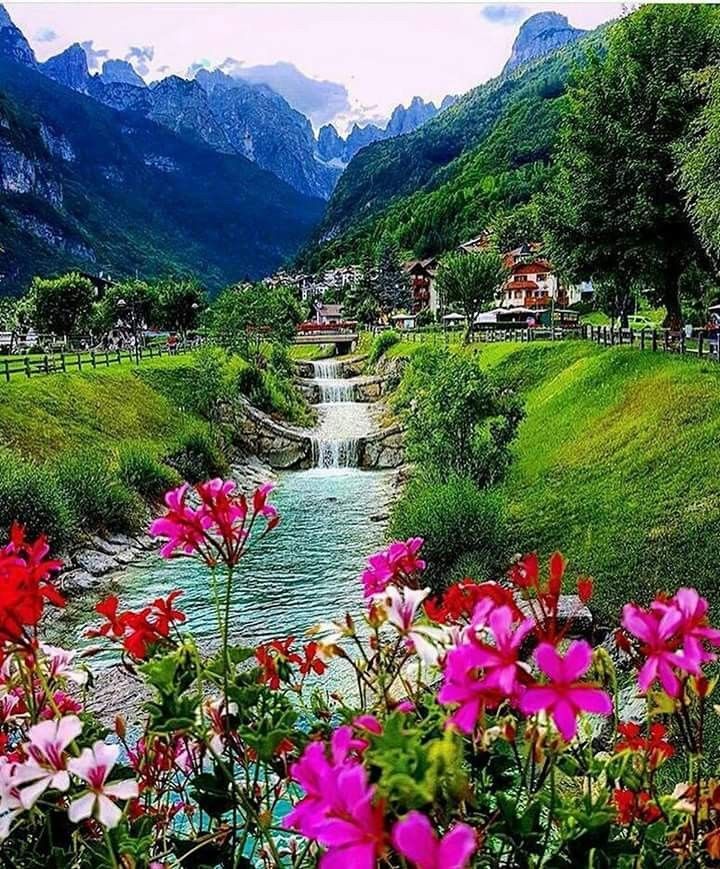 LA SANIDAD NOS TRAE AL ORIGEN